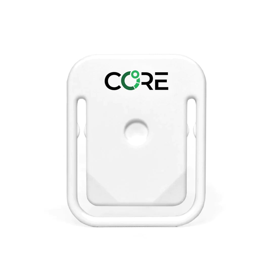 Core 1 Thermal Sensor
